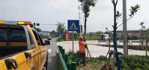 剪綠遮修護(hù)欄，筑牢公路交通安全生命線